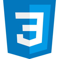 CSS Technology Logo