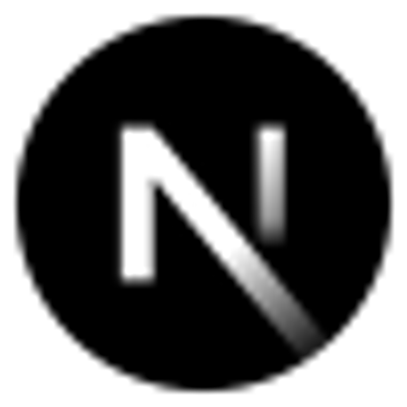 Next.js Technology Logo